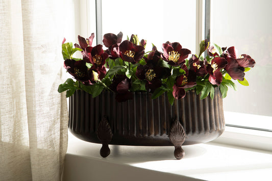 Avlang krukke, Antikk brun